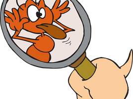 Watchdogs found to be less than wanting: Council by-passes its legal obligations