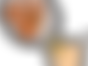 Watchdogs found to be less than wanting: Council by-passes its legal obligations