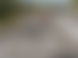 Stage Two Of Safety Work Starts On Princes Highway At Bendalong