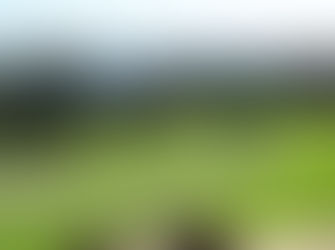 Tuross Head golfers enjoy relaxed golf rules