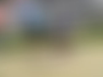 Narooma Social Bowls