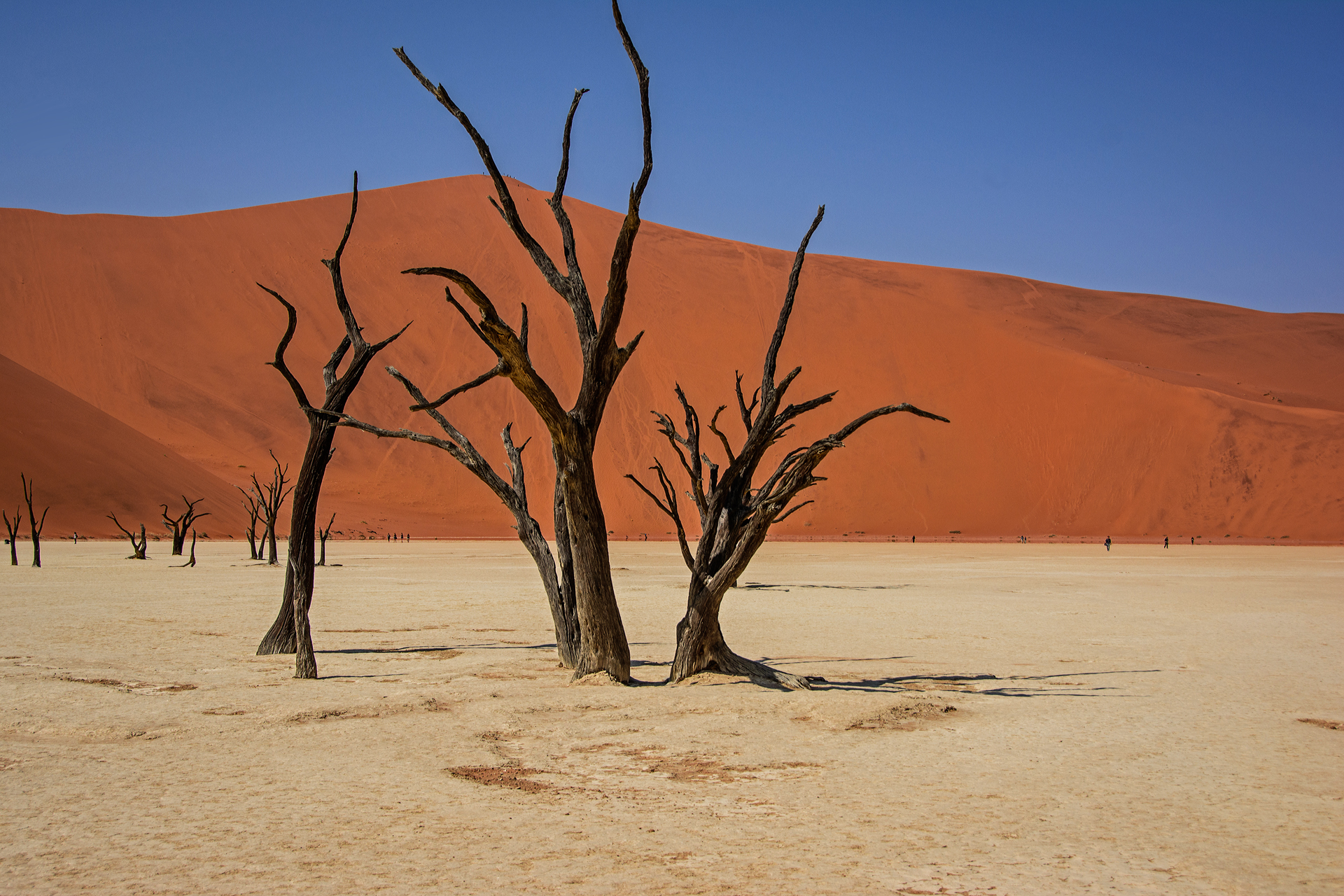 Image of the night-Rog Geraghty-Namibia.