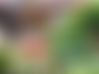 Sage Food Share To Launch In Moruya