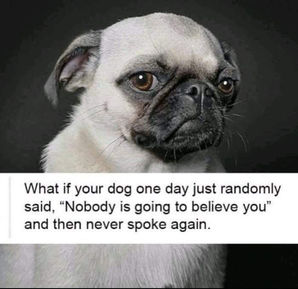 Timeshare arrangements return to selected Eurobodalla beaches