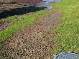 Bermagui sewer spill closes Dickinson Park