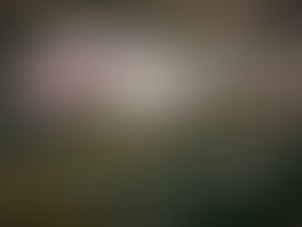 Cancellation of Huntfest announced at Animals in The Wild Photographic Exhibition