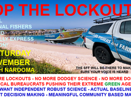 Martin: It is time to bring science and real data to the Batemans Bay Sanctuary issue