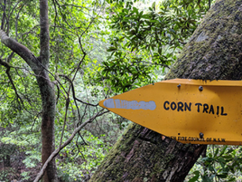 State Heritage protection to save iconic Corn Trail