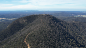 Mayor’s Message, November 2022