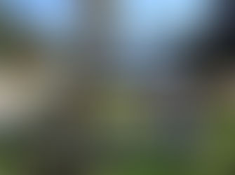 Moruya Fishing Platform well underway