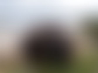 Locals Reminded To Pre-Purchase Narooma Oyster Festival Tickets