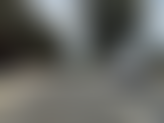 "What were they thinking?" Bodalla locals ask