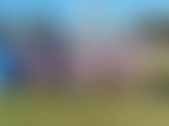 Broulee Stingrays take out Bodalla 4-1 in Grand Final