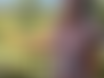 Moruya Women's Golf results