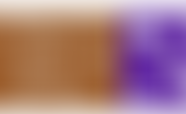 Directional signage - what the Councillor wasn't told