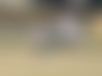 Tuross Head Men’s Bowls