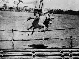 Let's do better in 2018 by reflecting the true values of our community.