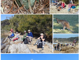 Bay Bushwalkers enjoy Blackfellows Point and Tuross Lake