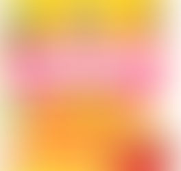 Is Broulee Public School the only place to vote that has a democracy sausage