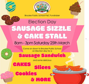 Is Broulee Public School the only place to vote that has a democracy sausage