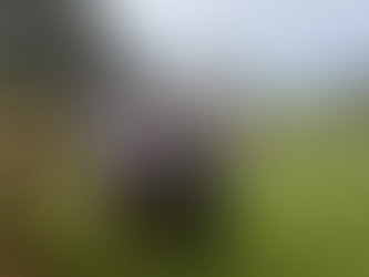 Long time, no sea … they’re back!