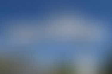 Congo Road North: The wheels of bureaucracy grind slowly