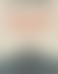 The Sixteen Trees of the Somme - a review