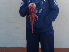 Tomakin Fishing Club news