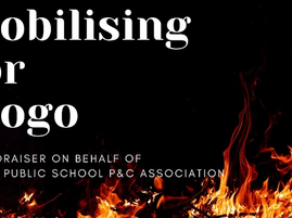 MOGO News UPDATE 6th Jan 2020