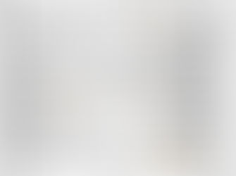 Moruya History: Lieutenant J.L. Ross 1919