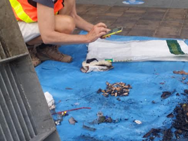 New Drain Buddies installed