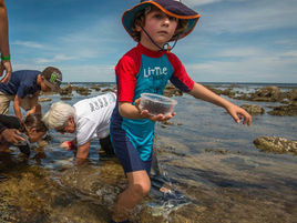 Nature Coast presents Photos on the Rocks Oct 27th @ Broulee