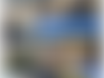 Bay Bushwalkers: South Durras and Murramarang Highlights