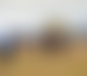 Introducing the Stars of Eurobodalla: Mitch Van Der Meulen