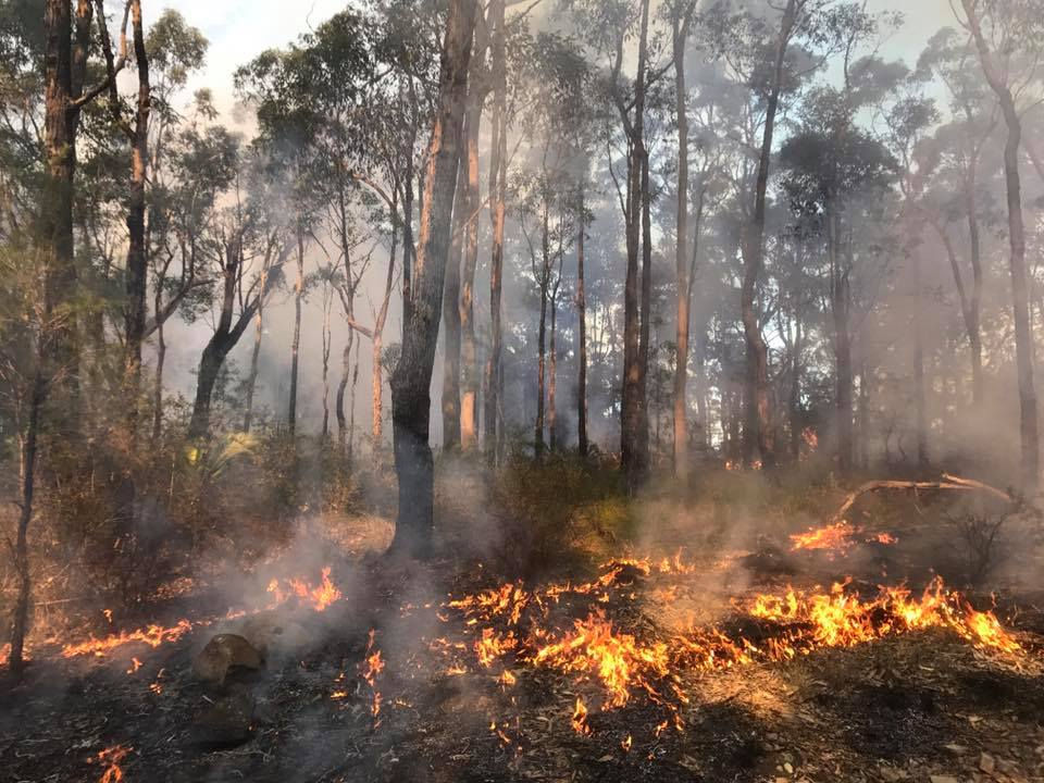 Moruya Rural Fire Brigade