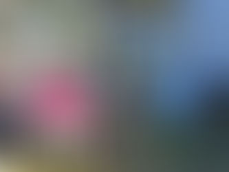 Learn how to grow backyard veggies - SAGE Tuross Head workshop