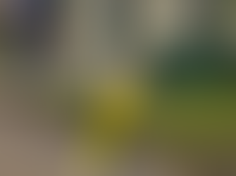 Essential Energy to Stop Santa in Moruya - advice warns that street light poles might be live with 2