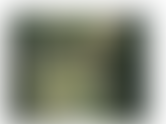 Council backs away from embarrassing stoush with Tuross Head residents