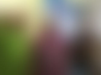 Robert McDonell: Best of stableford golfers