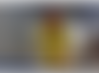 Bay Fire Crew take on Sydney Tower