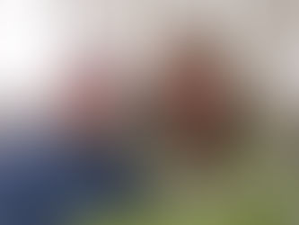 Home Care Services – More important now than ever