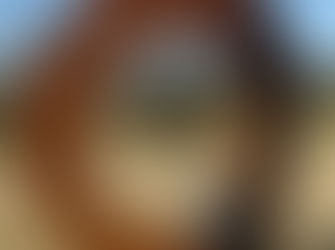 Sculpture For Clyde: a pure gem in our midst