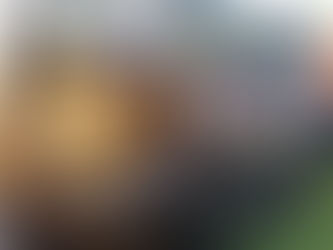 Salt of the Coast: a Narooma gem turns two