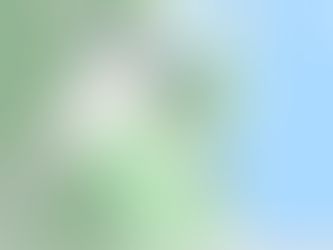 Potato Point fire update