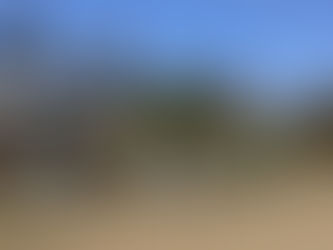 Happy Bowling Days for Women at Tuross Head