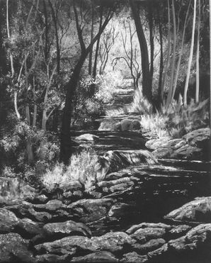 Saturday Sessions at the Bas