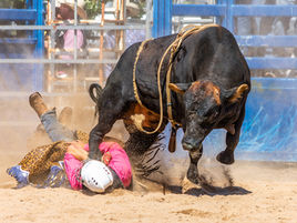 Eurobodalla Photographic Club September meeting