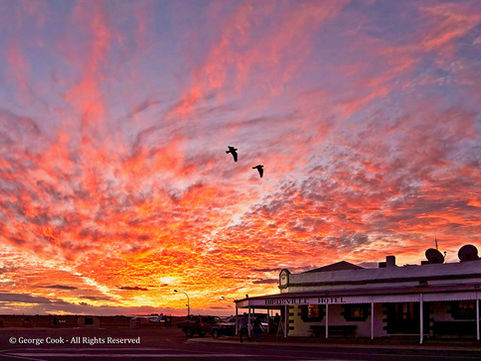 Eurobodalla Photographers July Meeting – Creativity Blooms