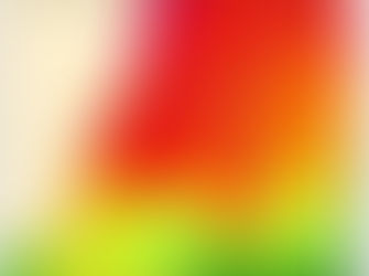 Your UP to Date Fishing report from the team at Tackle World Moruya - Feb 12th 2021