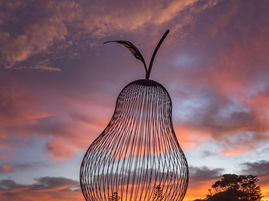 SCULPTURE Bermagui